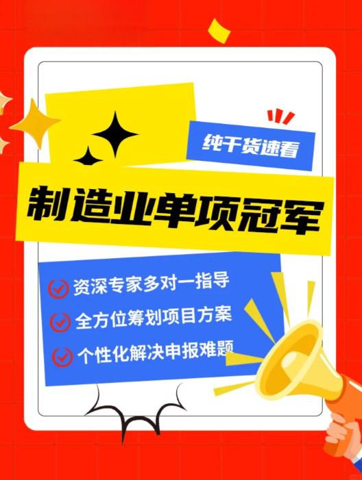 单项冠军申报辅导(单项冠军是什么意思)常德市