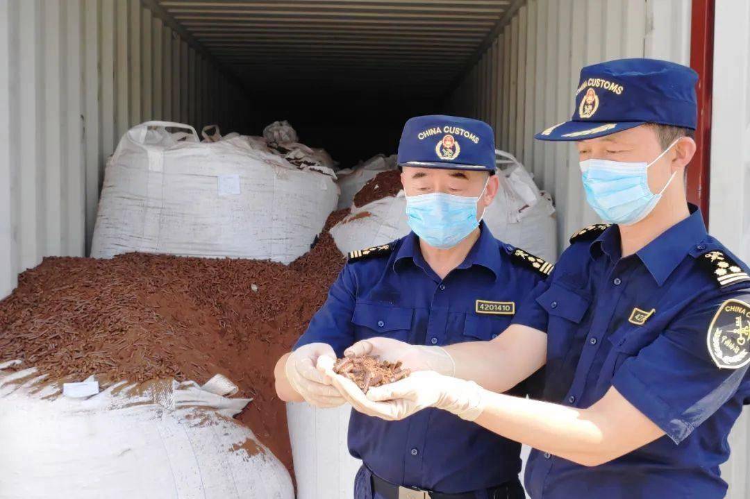 出口管制应对咨询(出口管制的具体措施)常德市