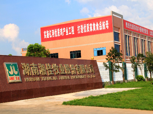 IPO挂牌上市辅导(ipo上市辅导是干什么的)常德市