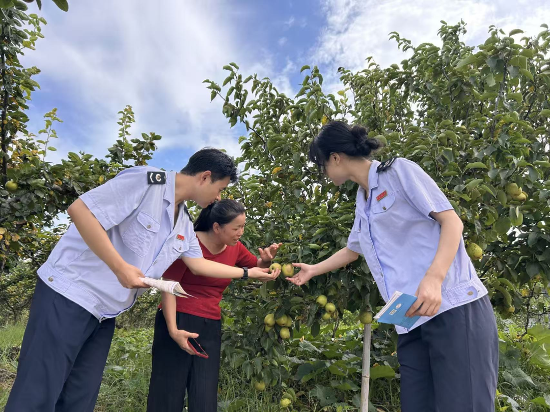 税务合规规范辅导(税务合规的规则体系)常德市