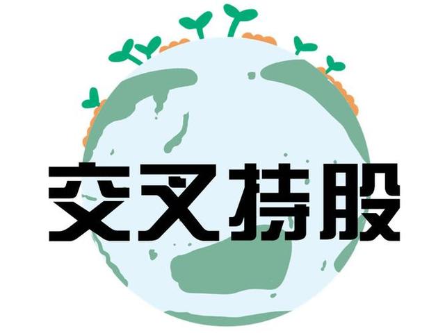 交叉持股安排设计(交叉持股怎么计算持股比例)常德市
