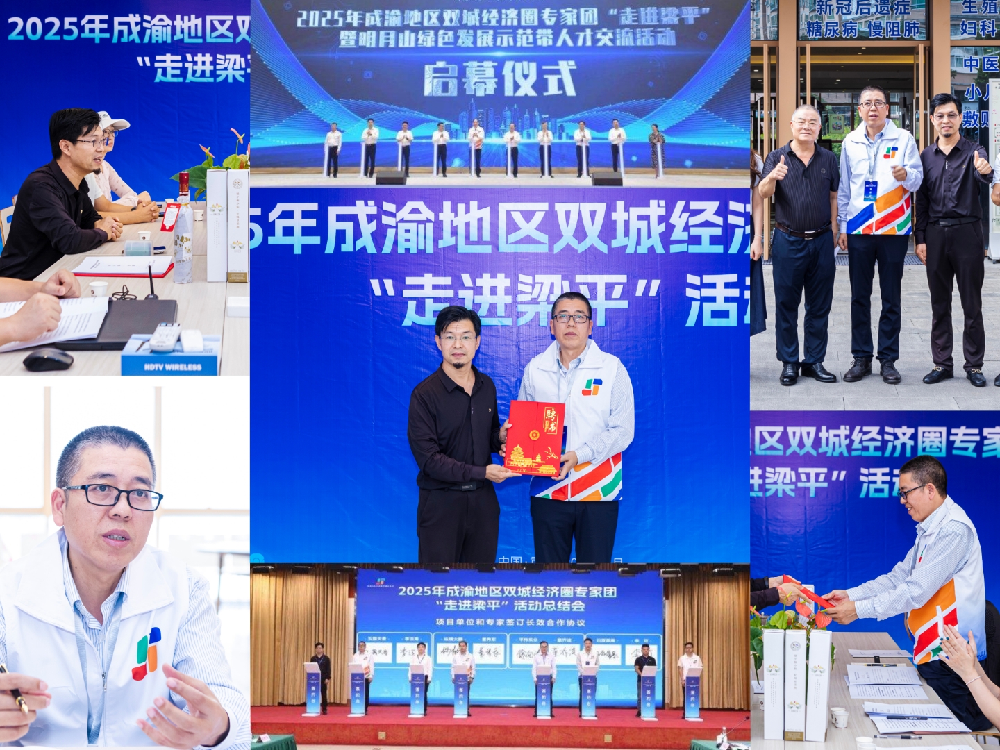 产业整合专家顾问(产业整合专家顾问是干嘛的)常德市