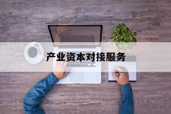 产业资本对接服务(产业资本对接服务包括哪些)常德市