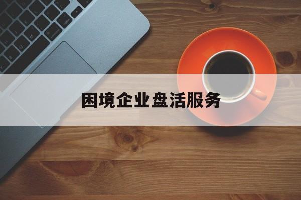 包含困境企业盘活服务的词条